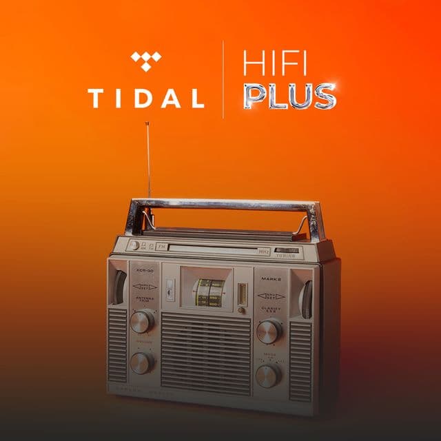 Gói Tidal Individual (60 ngày)
